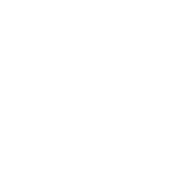 ai-riot.com